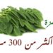 فوائد المورينجا
